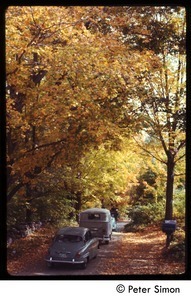 Cars on a dirt road with trees in full autumn color, Tree Frog Farm commune
