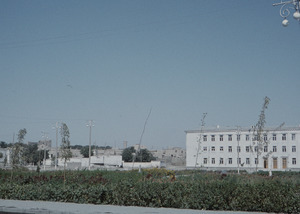 Garden in a cityscape