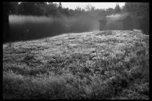 Cabin in a field in mist and morning light, Earth People's Park