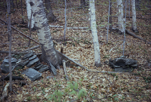 Bovee Farm, root cellar foundation, South Branch Birch Brook.