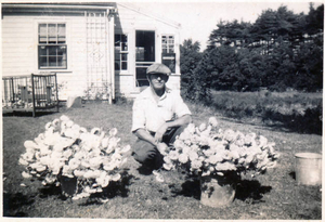 Harold Lincoln and his asters
