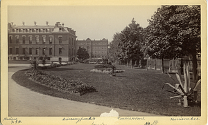 Driveway from the gate of the Nurses Home