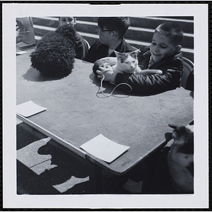 Three boys sitting at a table with their pets at a Boys' Club Pet Show