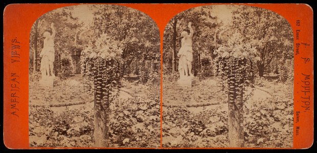 Stereograph, plant on pedestal and fountain, Potter's Grove, Arlington, Mass.