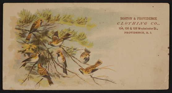 Trade card for Boston & Providence Clothing Co., 104, 106 & 108 Westminster St., Providence, Rhode Island, ca. 1877