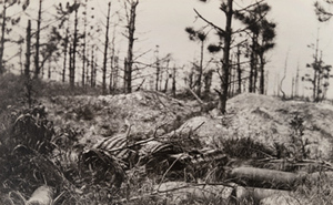 View of damaged landscape and ammunition baskets