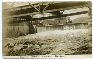 Swift River under bridge