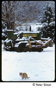 Ginger cat and John Deere tractor in the snow, Tree Frog Farm commune