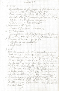 Francisco Cornicelli diary