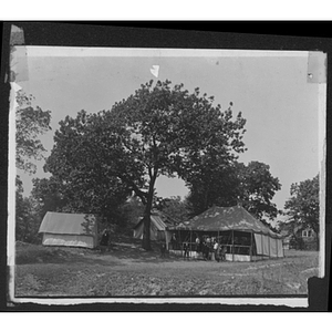 View of various buildings and tree at Camp School, Allston