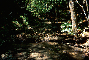 Weir Day 2001. Main Stem Birch Brook low-flow into ponding basin prior to annual excavation.
