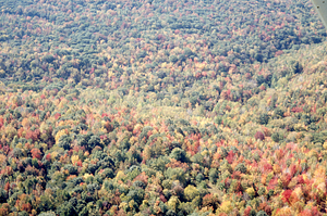 Aerial oblique view junction of North Branch with Middle+South Branch of Birch Brook on 14 October 1971.