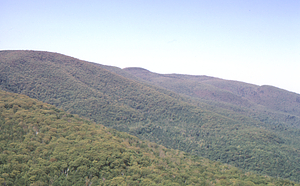 Aerial oblique view from North Branch Birch Brook to Moon Hollow Headwall on 28 May 1972 in the Hopkins Forest.