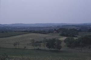 Orašac fields