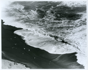 Surf and birds on beach