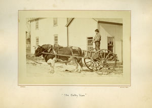 Bulley team, Massachusetts Agricultural College