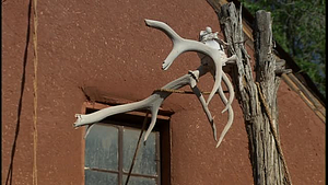 ¡Colores!; El Rancho De Las Golondrinas, 1