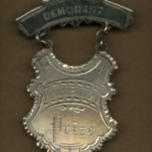 Demorest prohibition prize medal