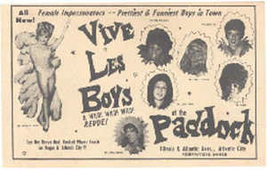 Vive Les Boys at the Paddock