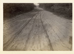 Provincetown to Boston, station no. 289, Marion