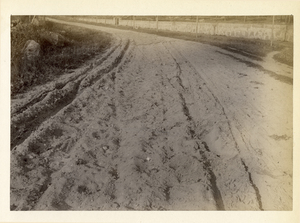 Provincetown to Boston, station no. 290, Marion