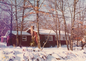 House at 91 Lakeview Street