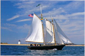 Schooner 'Estrela' at the Provincetown Schooner Regatta