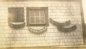 Mackerel drying on beach rack in front of cold storage