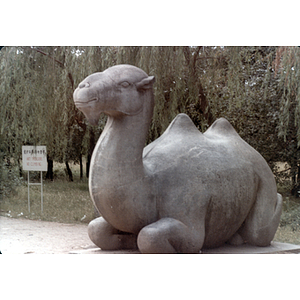 Camel statue in a garden in China