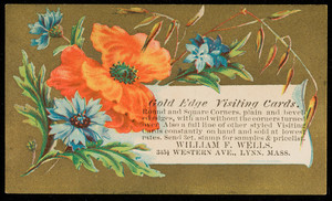 Trade card for William F. Wells, gold edge visiting cards, 345 1/2 Western Avenue, Lynn, Mass., undated