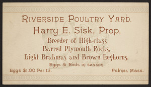 Trade card for the Riverside Poultry Yard, breeder of high-class Barred Plymouth Rocks, Light Brahmas and Brown Leghorns, Harry E. Sisk, Palmer, Mass., undated