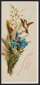 Trade card for Niagara Gloss Starch, Niagara Starch Company, Buffalo, New York, undated