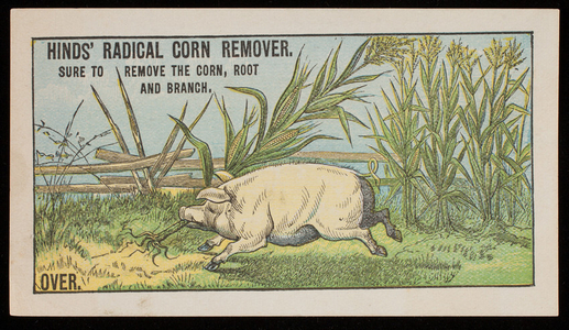 Trade card for Hinds' Radical Corn Remover, prepared only by A.S. Hinds, pharmacist, Portland, Maine