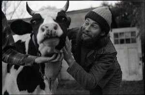 John Carpini caressing a cow
