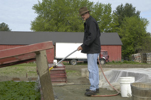 Lazy Acres Farm (Zuchowski Farm): Allan Zuchowski watering cold frames