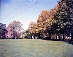 Lawn to the west of South College and path by Old Chapel