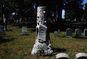 Albany Rural Cemetery (Menands, N.Y.) gravestone: Terbush, Elizabeth (d. 1895)