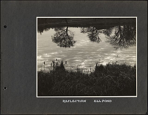 Reflection, Ell Pond: Melrose, Mass.