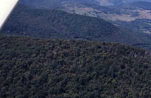 Aerial color image of White Rocks and Taconic Crest along Cruiseline 10.