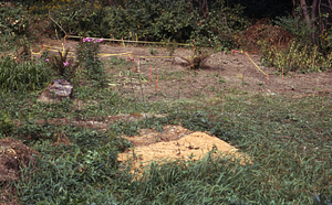 Buxton Garden under restoration. September 1930.