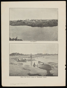 A view of Catomet and a man stands on top of a black fish driven ashore