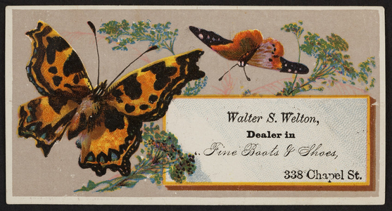 Trade card for Walter S. Welton, fine boots & shoes, 338 Chapel Street, location unknown, undated