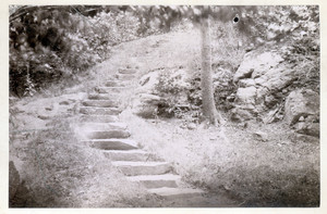 Stone steps on Lyman Estate grounds