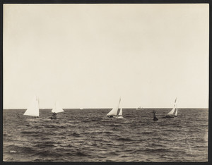 Cohasset Regatta