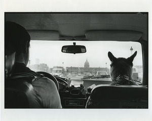 Driver and dog in car in Paris