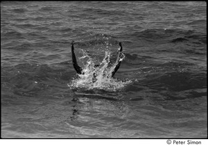 Jungle Beach: Ram Dass splashing with his arms raised