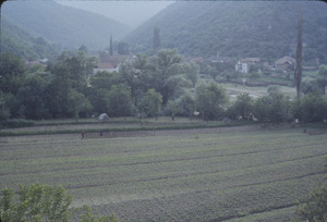 Cultivated fields near Samokov