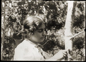 Woman carving birch tree (Greenwich, Mass.)