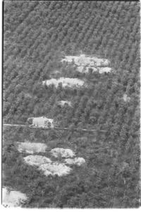 Aerial view of Iron Triangle bombed by B-52's; Hau Nghia Province.