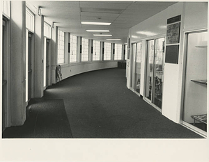 Display cases in Blake Area